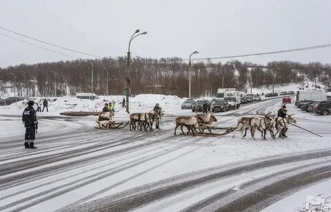 Обычный день 7