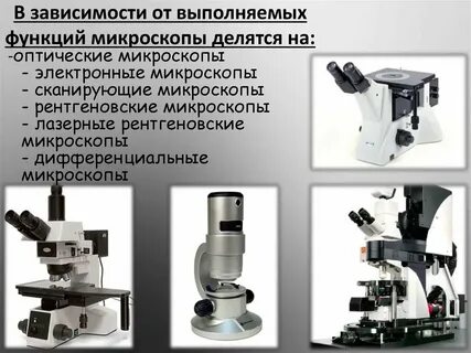 Виды микроскопов и их особенности