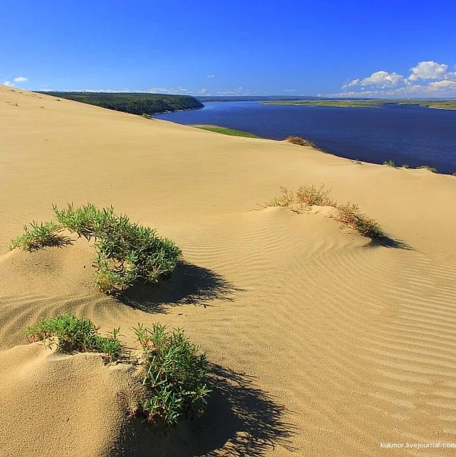 Песчаные дюны на дальнем востоке. Барханы в якутии. Дюны тукуланы. Якутия пустыня тукуланы. Дюны тукуланы якутия.