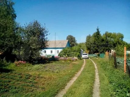 Свободная дубрава