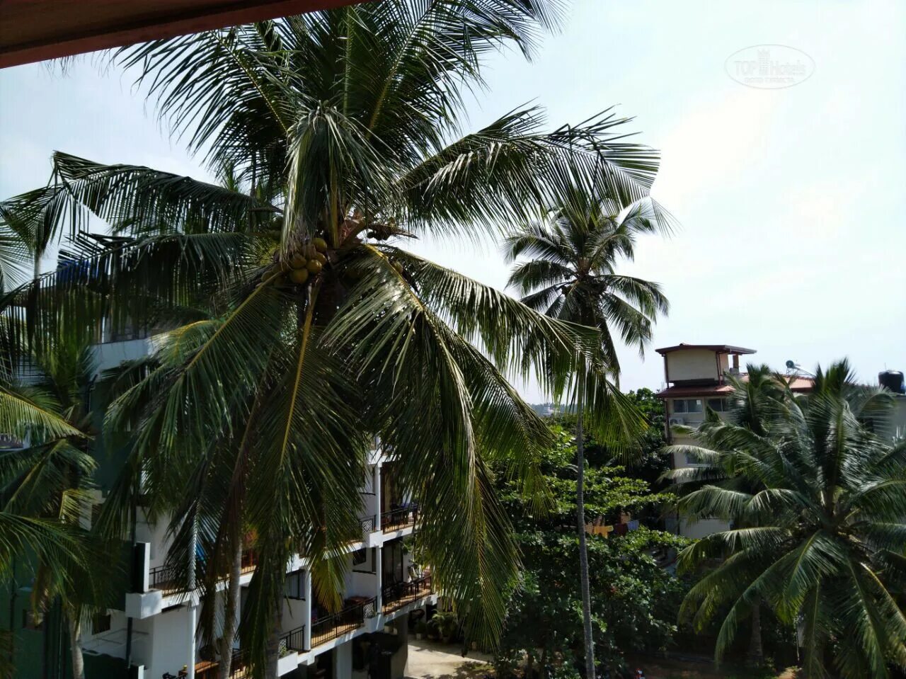 Sea view beach resort 3* (унаватуна). Sea view unawatuna. Унаватуна ресторан. Sea view beach resort 3* (унаватуна). Сиа вью унаватуна.