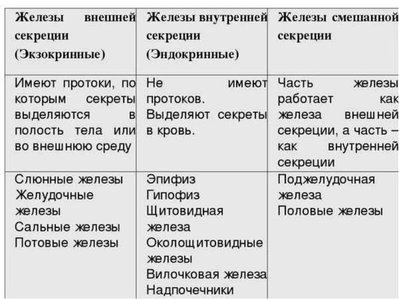 Какие железы выделяют свои секреты в кровь. Таблица желез внешней внутренней и смешанной секреции. Железы внутренней внешней и смешанной секреции таблица. Железы внутренней внешней и смешанной секреции таблица 8 класс. Строение и функции желез внешней секреции таблица.