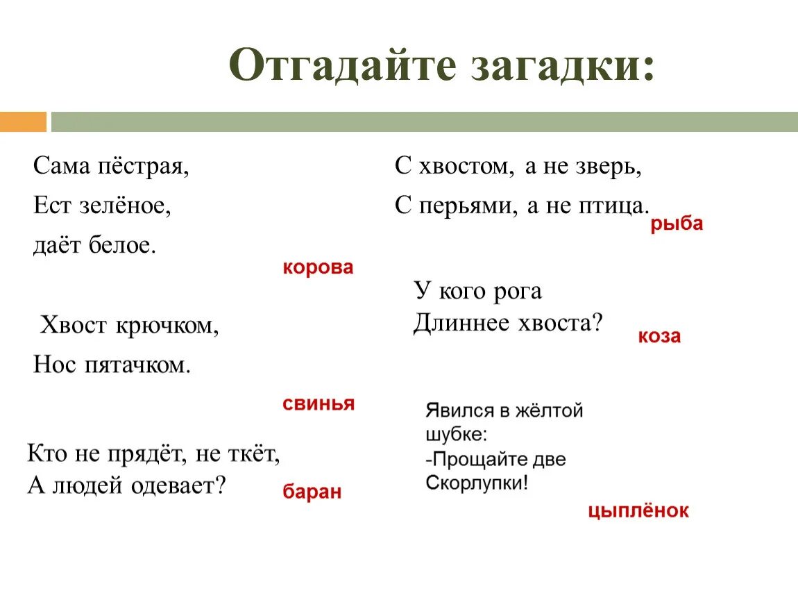 Сама пестр. Загадки чтобы отгадывать сами. Животноводство окружающий мир 3 класс с загадками. Загадка для понятия телефон. Придумать загадку для понятия телефон.