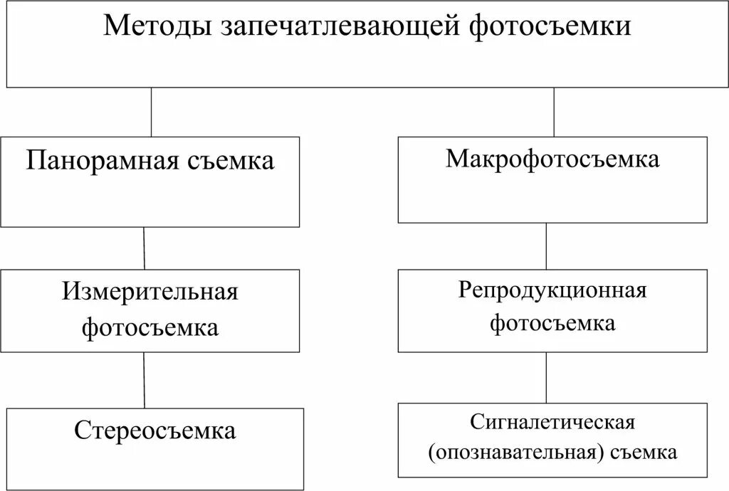Запечатляет или запечатлевает как правильно. Запечатляет или запечатлевает как правильно