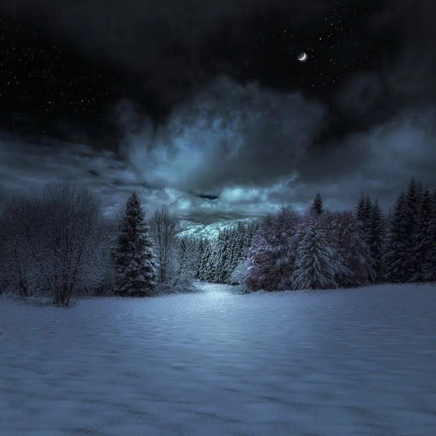 Вечером в холоде speed. Зимний лес ночью. Зимний ночной пейзаж. Снежная ночь. Темный снежный лес.