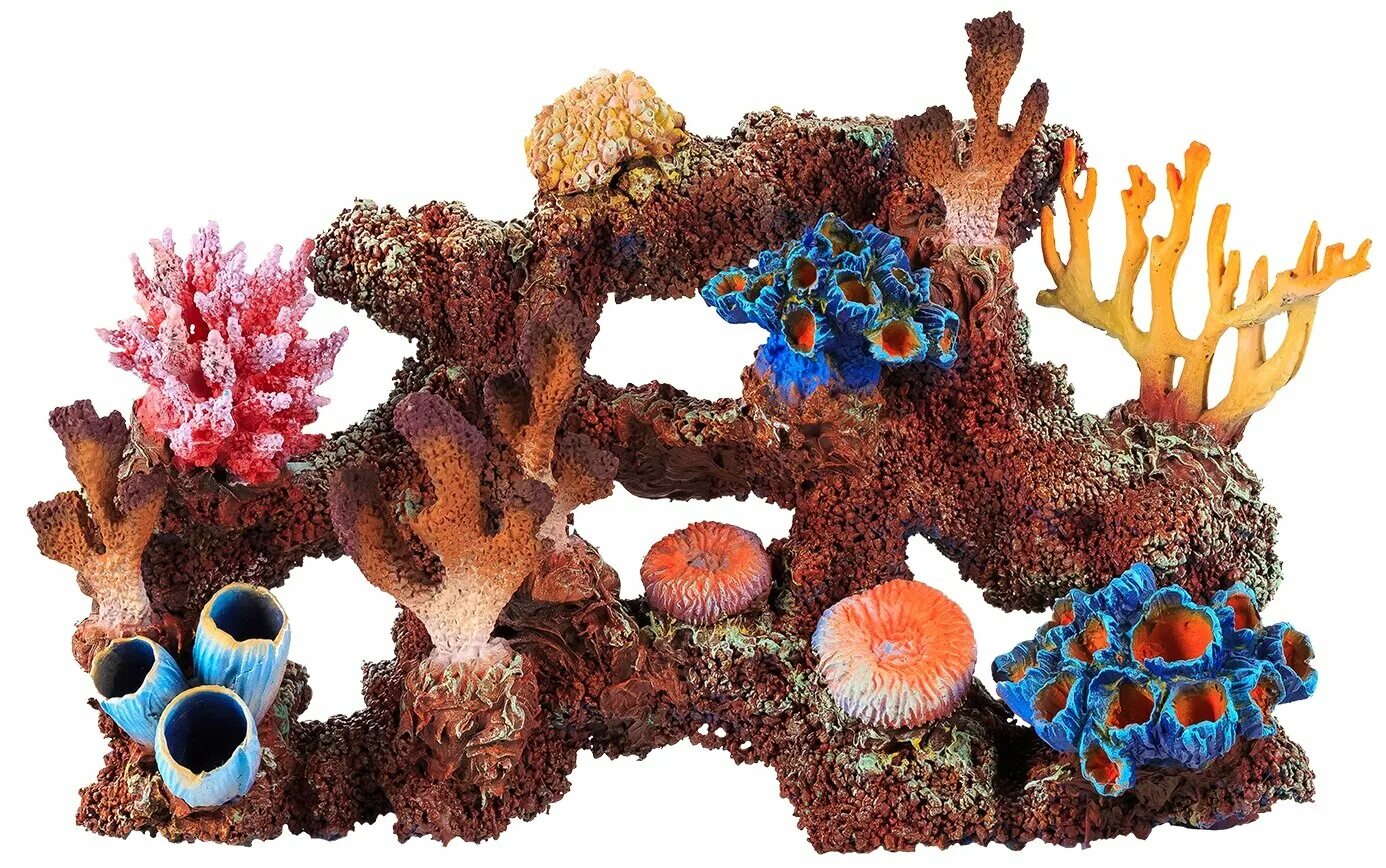 Кораллы в морском аквариуме. Можно кораллы в аквариум. Можно кораллы в аквариум. Кораллы для аквариума натуральные. Украшения аквариума коралловый риф.