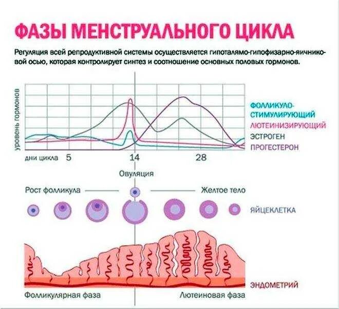 Интенсивность месячных