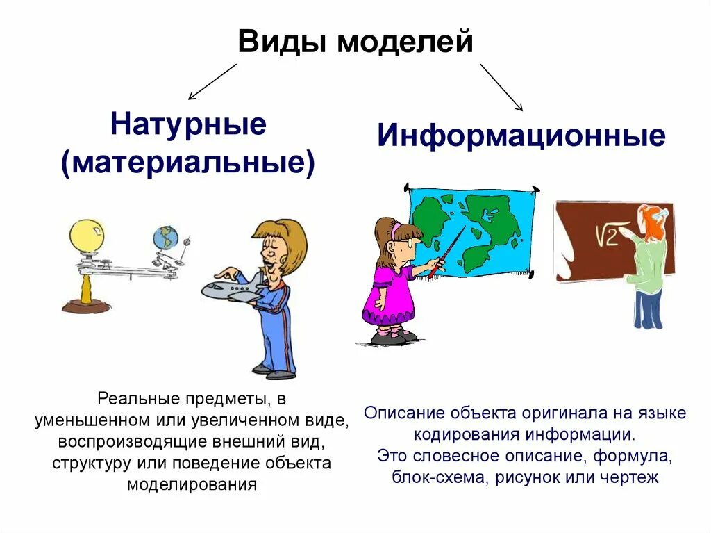 Натурные и информационные модели. Натурные модели примеры. Примеры натурных и информационных моделей. Информационная модель человека.