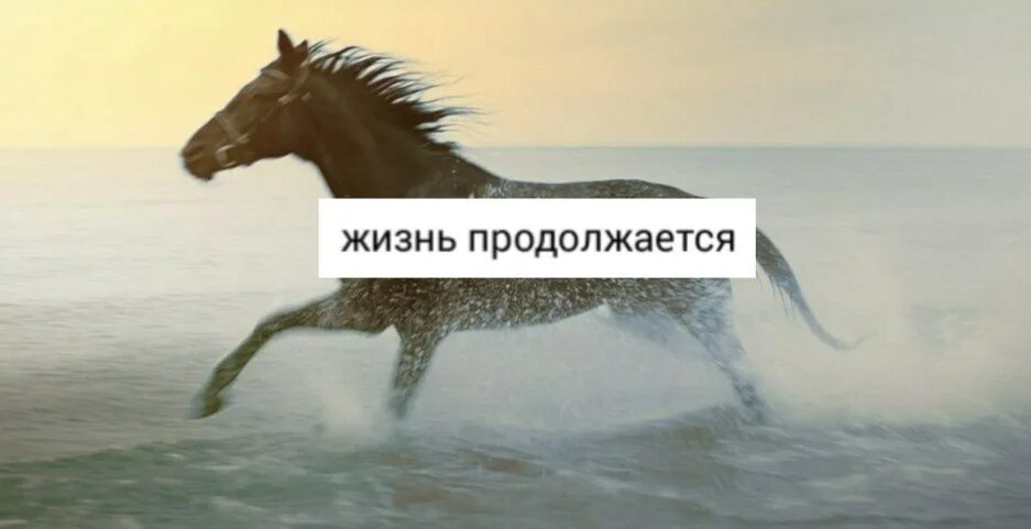 Бриз а жизнь продолжается. А жизнь продолжается. жизнь продолжается фото. жизнь продолжается друзья. жизнь продолжается без тебя.