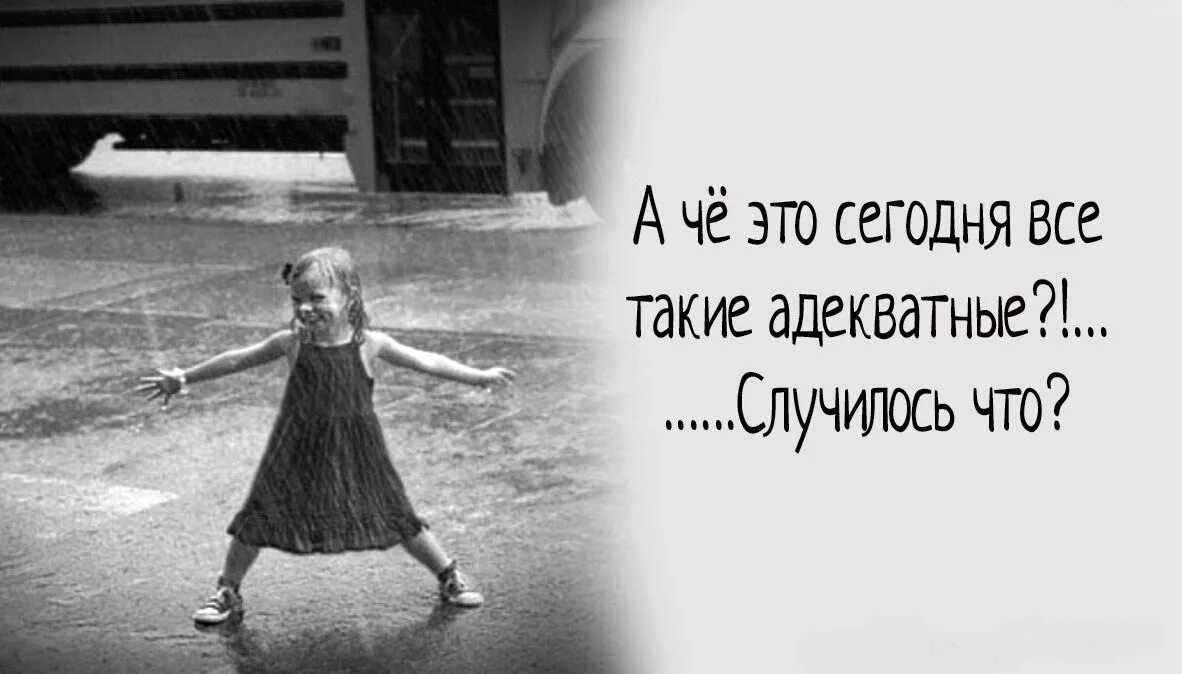 А вы такие. Мы адекватные. а что это сегодня все такие адекватные. а че вы сегодня все адекватные случилось че ?. адекватные картинки.