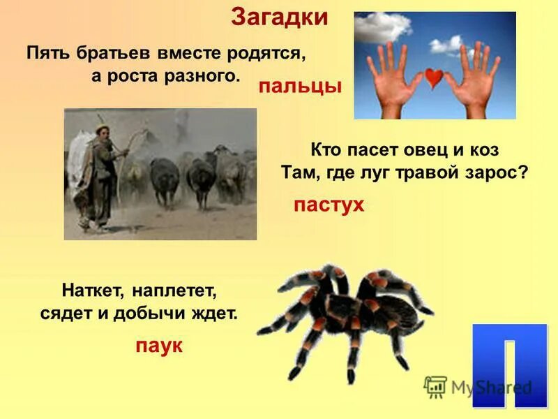 Наткет наплетет сядет и ждет. Наткет наплетет сядет и ждет