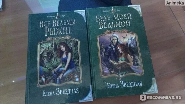 Все ведьмы стервы все книги