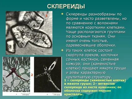 Крупитчатый