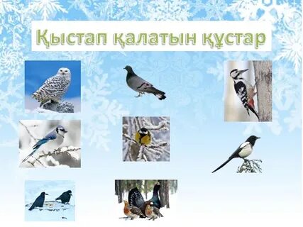 Семіз жезөкшелер порно видео