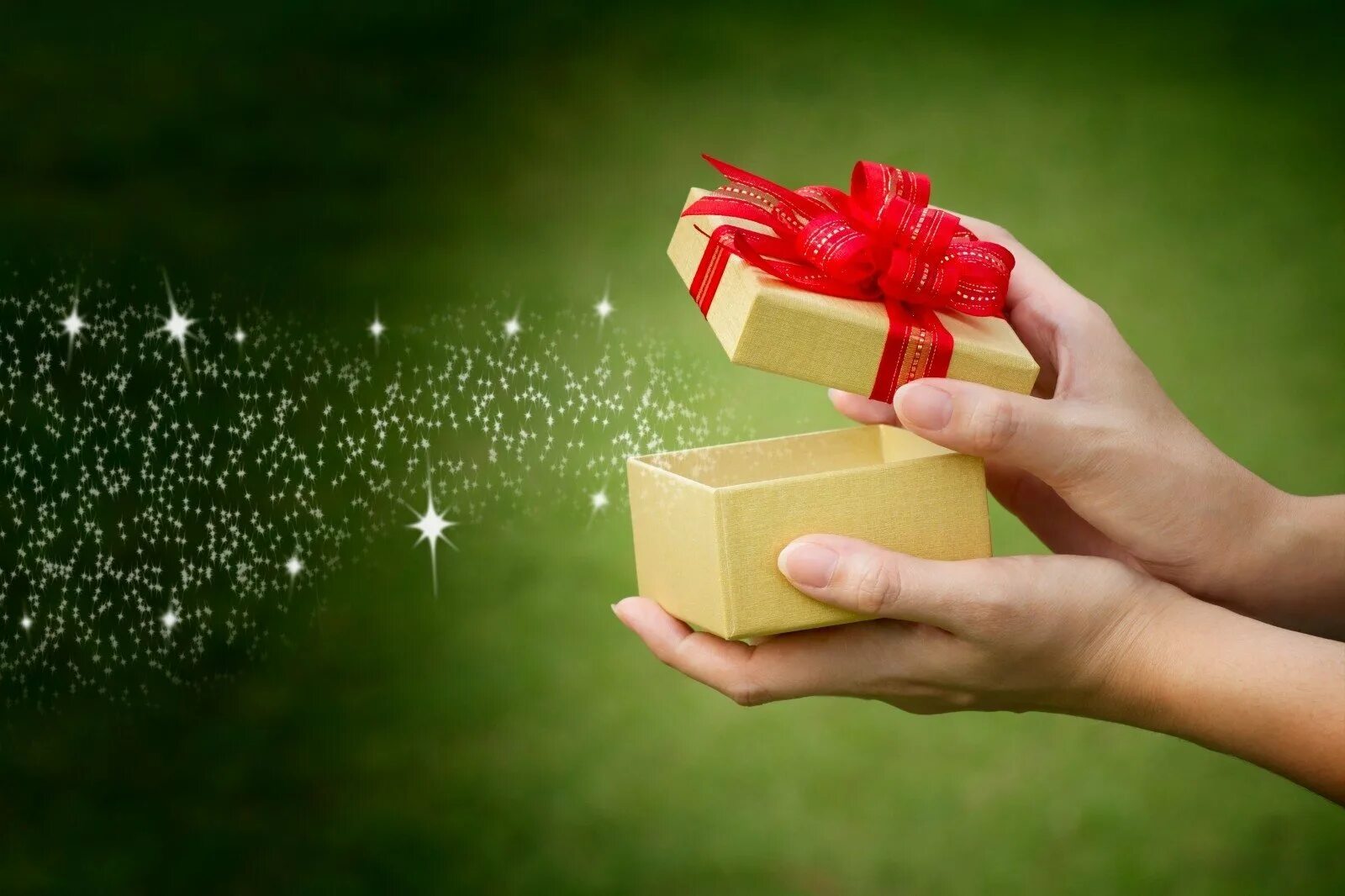 Поставь сюрпризы. Красивые подарки. Дарим подарки. Подарок в руках. Подарок сюрприз.