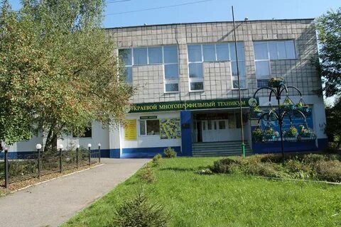 Техникумы г пермь