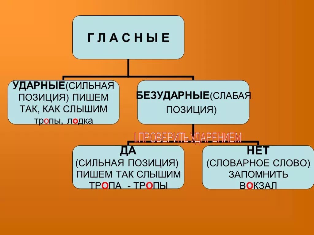 Сильные и слабые гласные