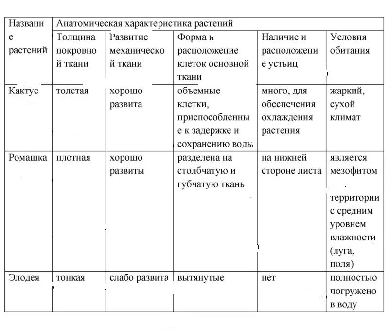 Строение растения в связи с условиями. Лабораторная работа строение растений в связи с условиями жизни. Строение растений в связи с условиями жизни лабораторная. Анатомическая характеристика растений. Лабораторная работа строений в связи с условиями жизни.