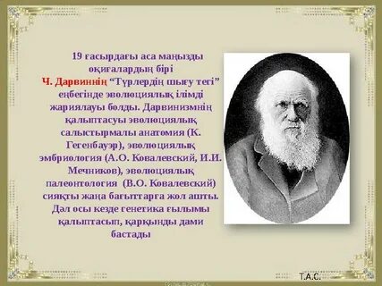 Үш ер адам желіде мас адамды сиқырлайды