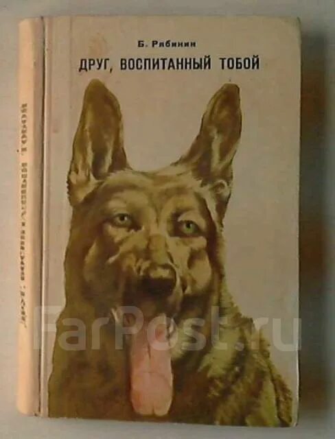 Воспитай себе друга. Друг воспитанный тобой Рябинин. Рябинин писатель. Друг воспитанный тобой книга.