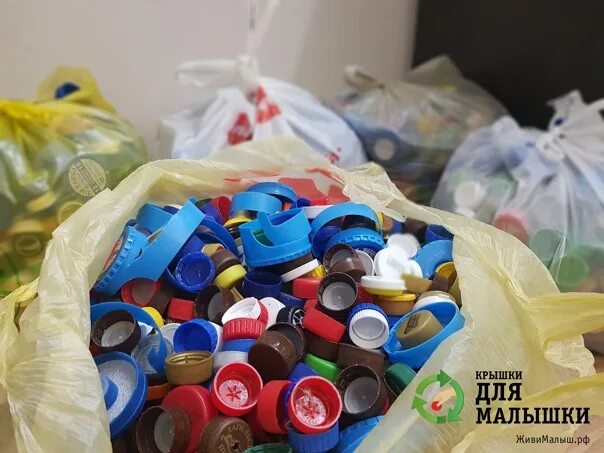 Куда сдать пробки от бутылок
