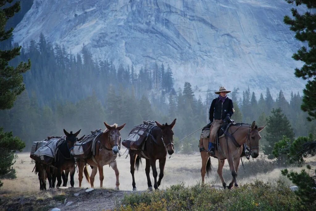 Are riding. Ай петри конные прогулки. Are riding. Zac efron rides a horse. Райдинг триб.