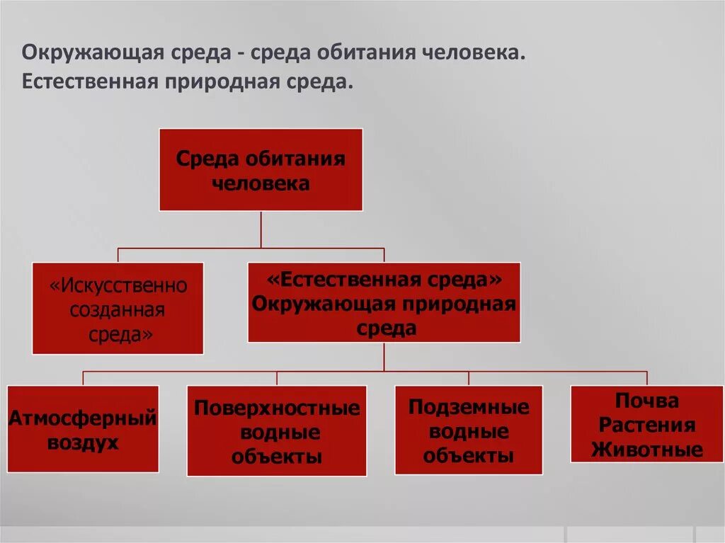 Среда обитания человека. Среда обитания современного человека. Српда обитаоия человнка. Назовите среду обитания человека.