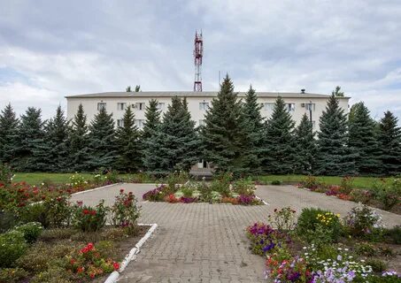 Ростовская область сайт г зверево