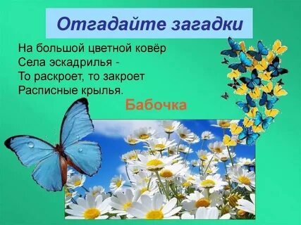 На большой цветной ковер села эскадрилья