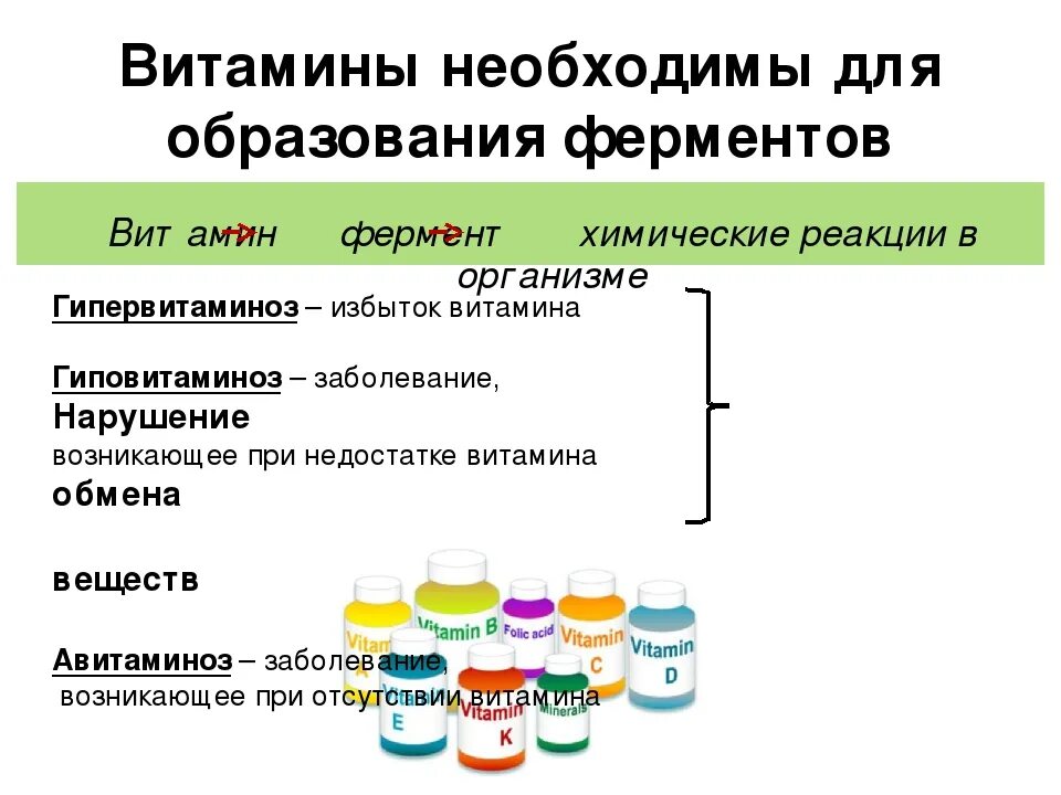 Какая система вырабатывает ферменты. Витамины ферменты гормоны. Витамины ферменты гормоны и их роль в организме. Ферменты 8 класс презентация. Ферменты презентация биология.