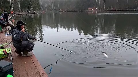 Прогноз клева форели в подмосковье
