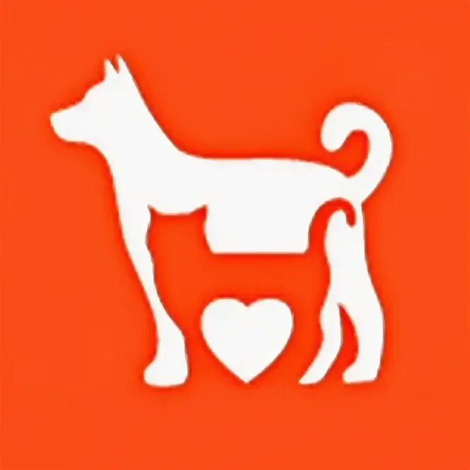 Приют сострадание в нижнем новгороде. Приют сострадание в нижнем новгороде. Сострадание нн. Фонд сострадание. Сострадание нн нижний новгород приют.