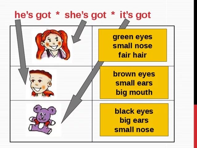 He s got nose. I have got урок для второго класса. Спотлайт 2 she s got. Have got has got описание внешности. Have got has got Spotlight 2 задания.
