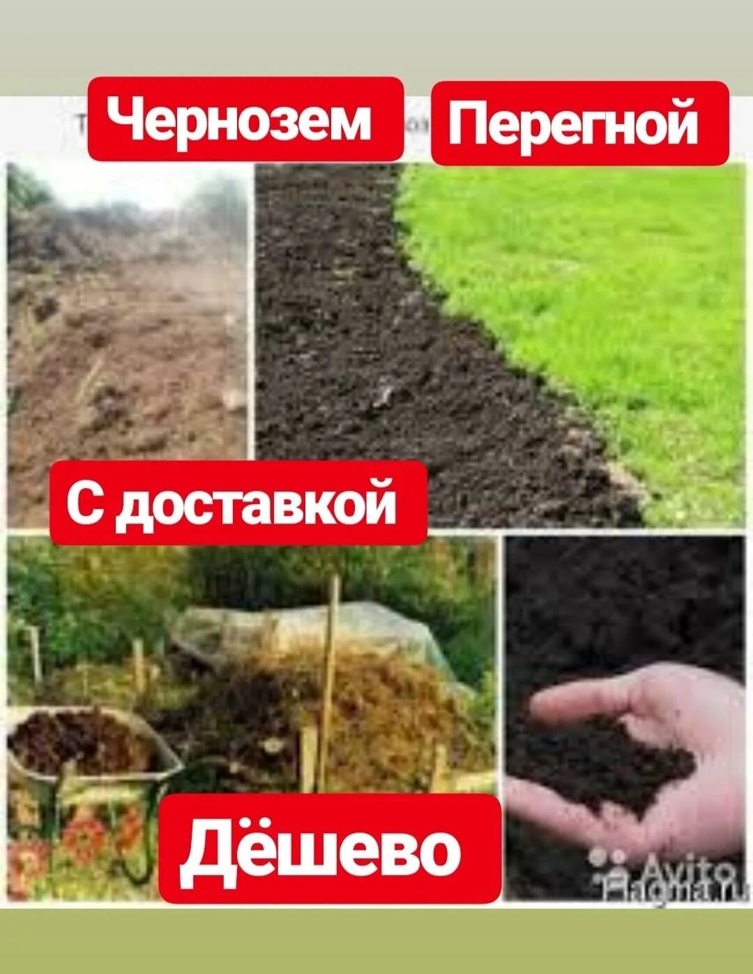 Как отличить чернозем от торфа. Торф чернозем. различия перегноя и компоста. отличить торф от чернозема. торф плодородный или нет.