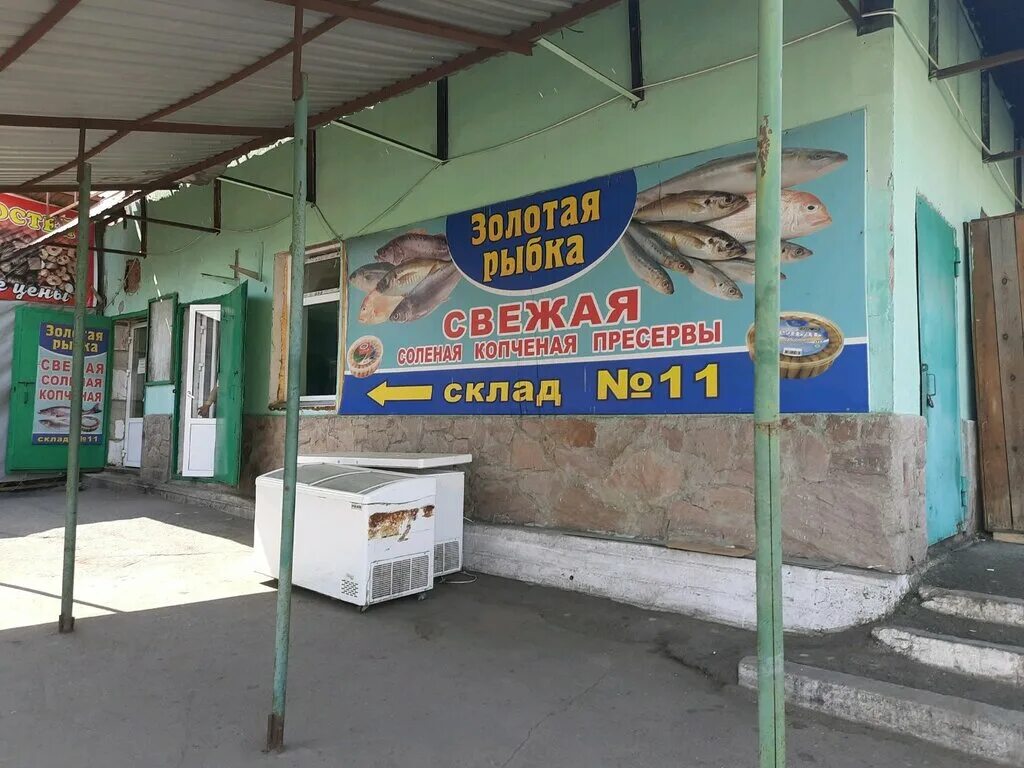 Магазин золотая рыбка магнитогорск. Золотая рыбка магнитогорск. Магазин золотая рыбка в магнитогорске на завенягина. Магазин золотая рыбка магнитогорск. Зоомагазины в магнитогорске с рыбками.