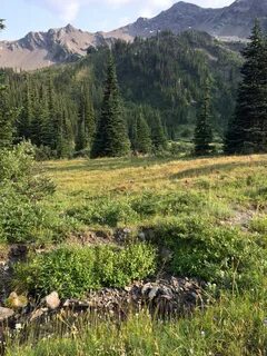 Mountain environment