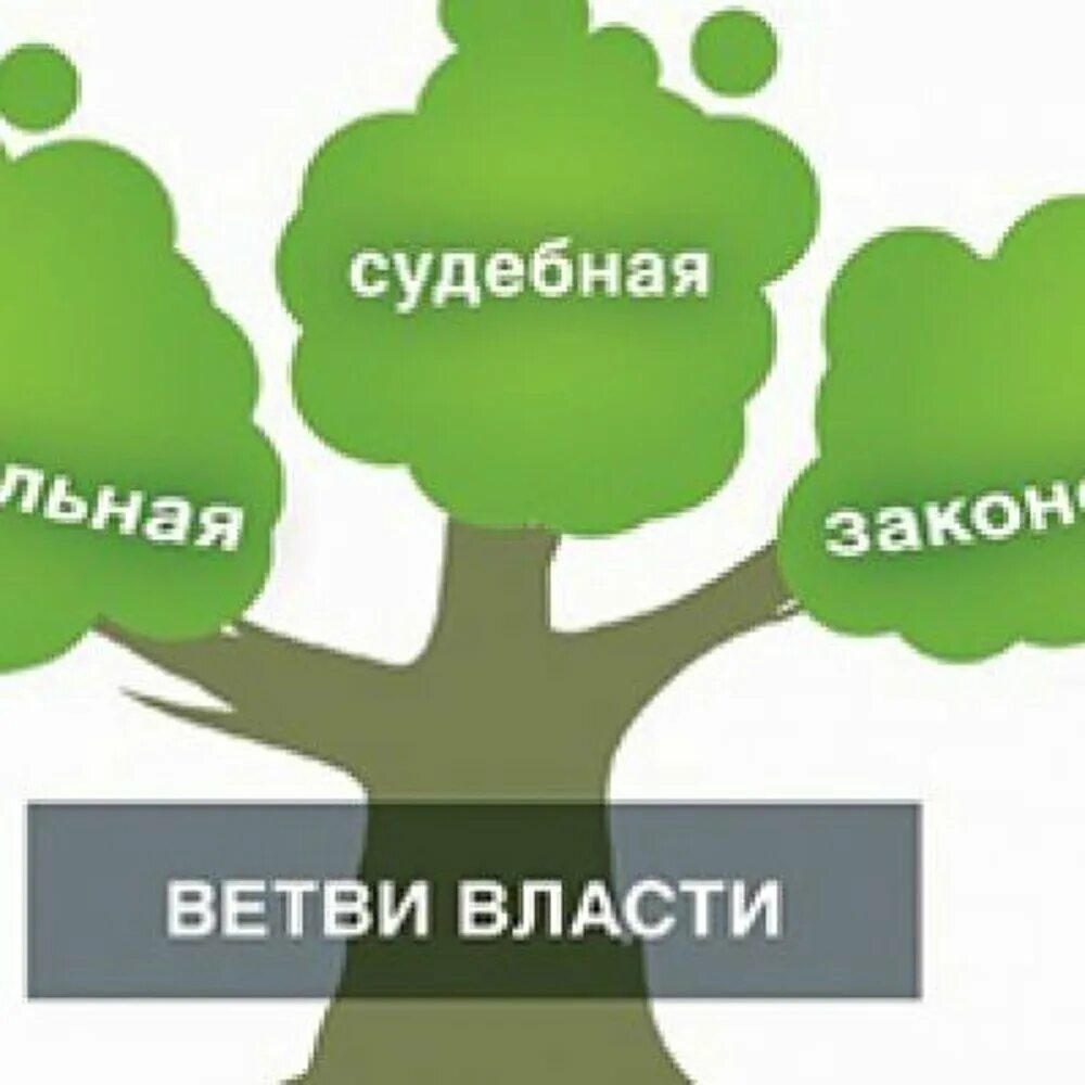 Ветви власти. 3 Ветви власти. Ветви ВЛС. Три ветви власти в России.