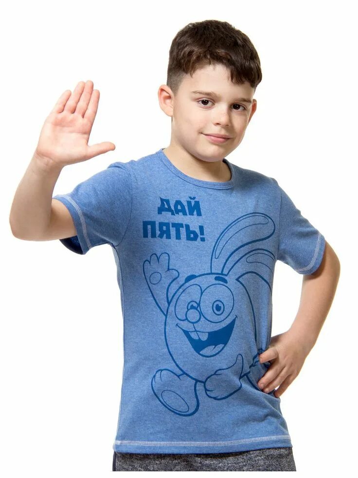 Футболка смешарики мужская. Футболка со всеми смешариками. Футболка смешарики взрослая. Футболка смешарики. Футболка с крошем.