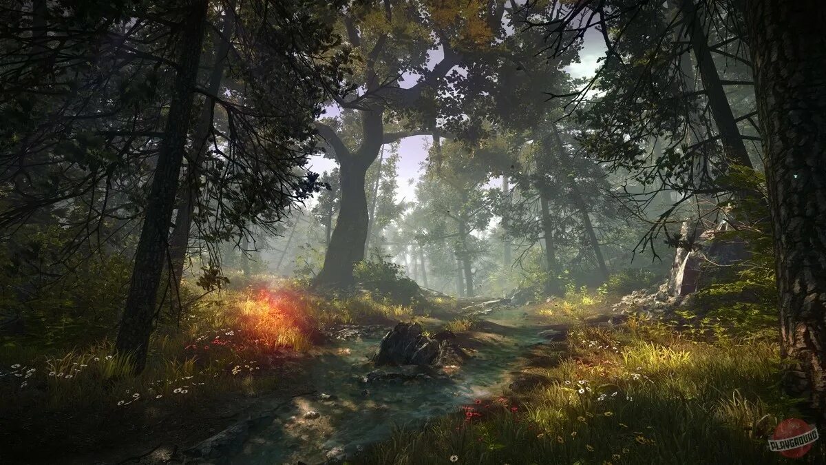 Dinosis survival adventure. Ведьмак 2 лес. Игры на пк на природе. The forest геймплей. Игры на пк на природе.