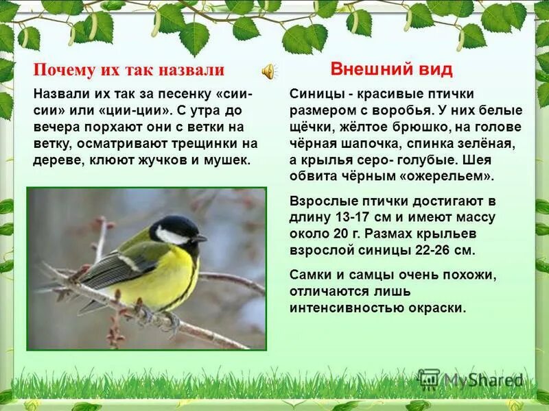 синицы текст 4 класс