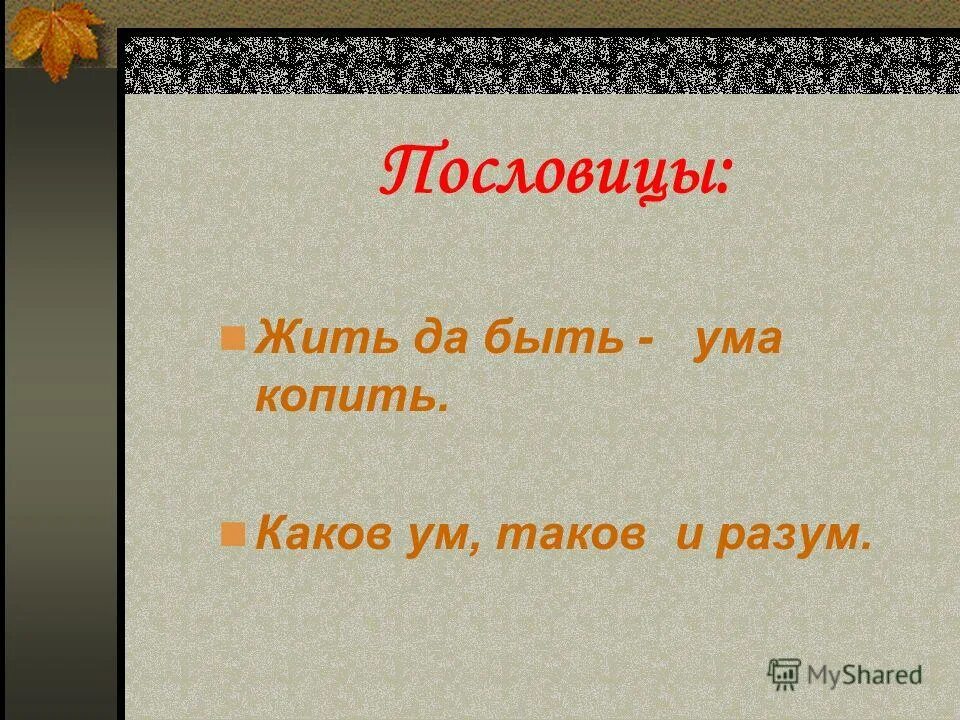 Цитаты пришвина. Названия произведений пришвина. Пословицы к рассказу ребята и утята пришвина. Стихи михаила пришвина. Кладовая солнца главная мысль.