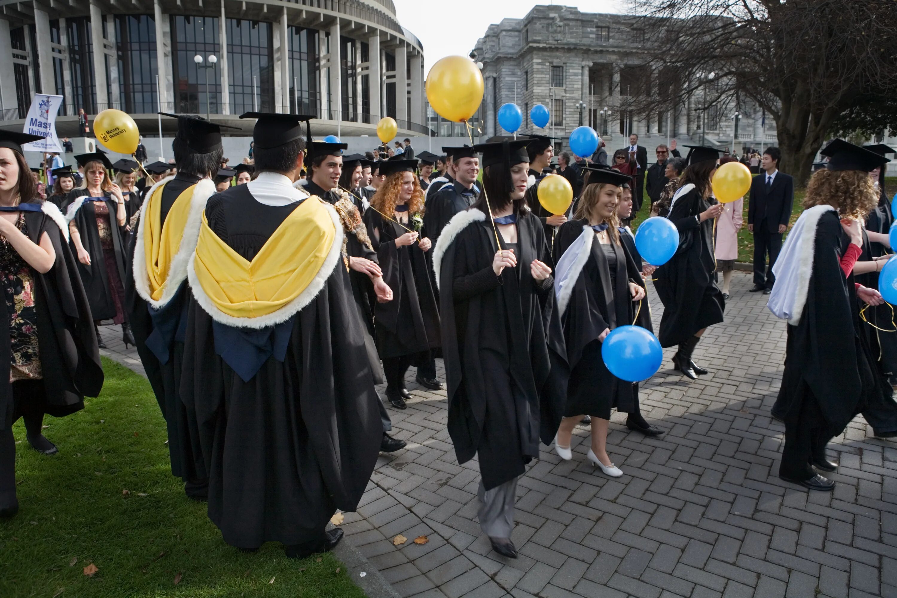 New zealand education. Школы в новой зеландии. New zealand education. New zealand education. New zealand education.