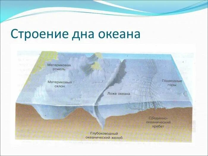 Формы дна океана. Рельеф дна мирового океана схема. Строение рельефа дна мирового океана. Геологическое строение дна мирового океана. Формы рельефа дна мирового океана схема.