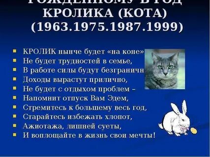 После кролика какой год
