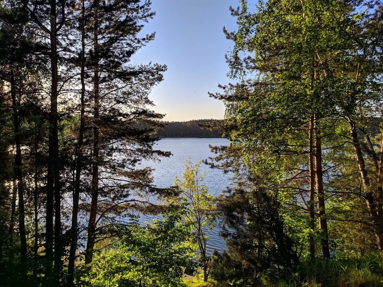 лесопарк лыткарино. лесопарк лыткарино. лесопарк лыткарино алексеев вячеслав львович. лыткарино лесопарк волкуша. лесопарк лыткарино.