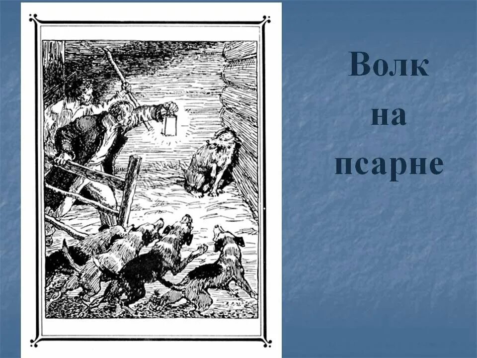 Волк на псарне краткое содержание для читательского. Волк на псарне иллюстрация. волк на псарнеиллюстоация.