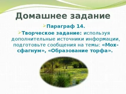 Мох источник торфа