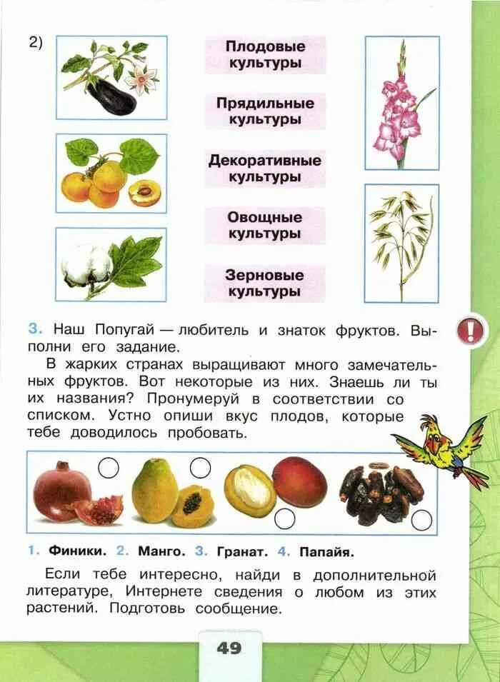 Окружающий мир рабочая тетрадь стр 49. Дикорастущие кустарники 2 класс окружающий мир рабочая тетрадь. Культурные растения 2 класс окружающий мир рабочая тетрадь. Сорта культурных растений 2 класс окружающий мир рабочая тетрадь. Дикорастущие растения 2 класс окружающий мир рабочая тетрадь.