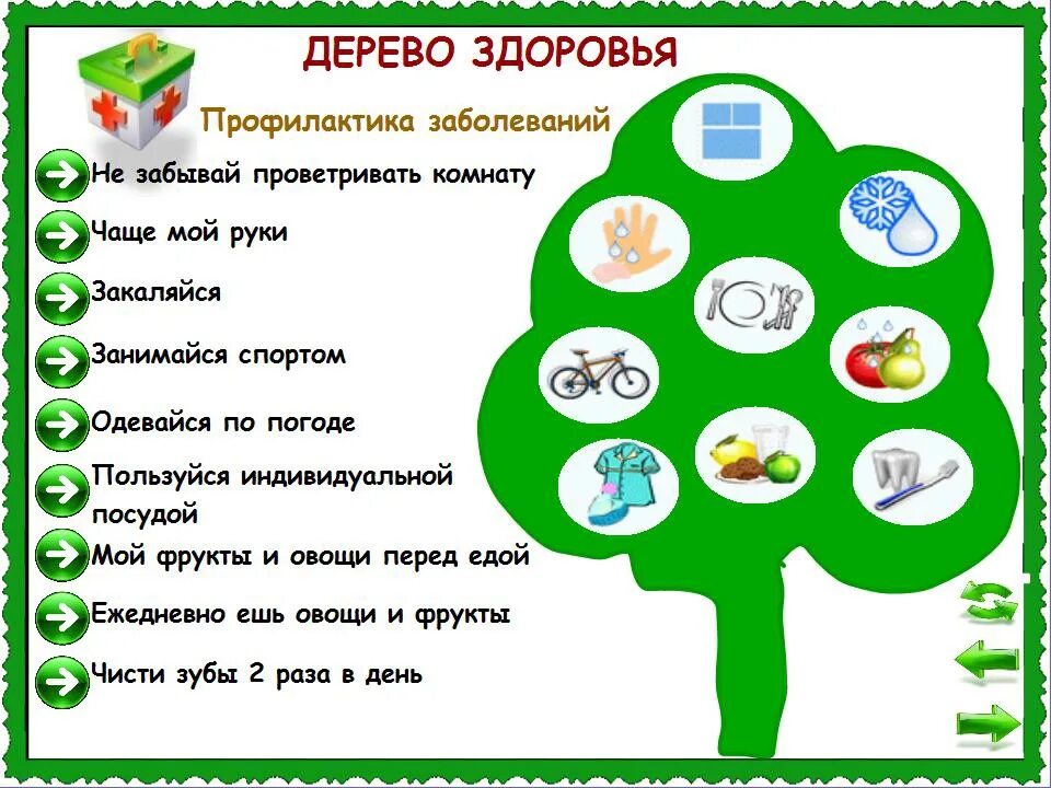 Что относится к слагаемым здорового образа жизни. Дерево здоровья. Дерево здоровья в детском саду. Советы для здорового образа жизни для детей. Памятка ЗОЖ для дошкольников.