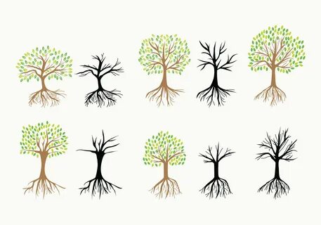A tree without roots